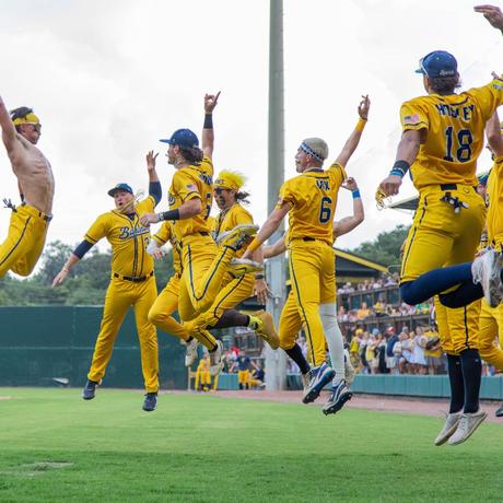 Savannah Bananas Tickets For The 2024-2025 Season | TicketSales.com